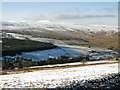 East Allen Dale around Allenheads