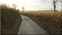 SX8192 : Lane near Oxenpark Plantation by Derek Harper