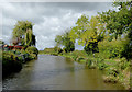 Canal east of Handsacre in Staffordshire