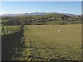 Capel Nebo footpath