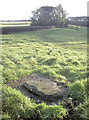 Well near Blackers Mead