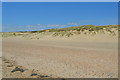 TQ9518 : Camber Sands - dunes by N Chadwick