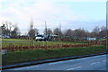 Ayr Cemetery