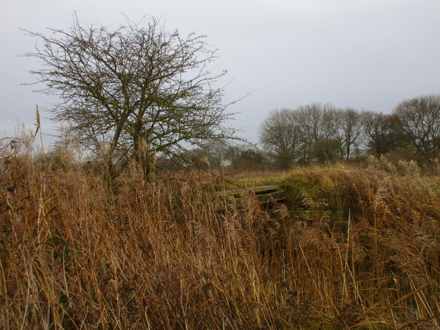 Remains of an old bridge over the Leven Canal