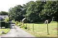 Track to Porth y Rhaw, Nine Wells