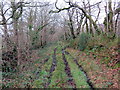 Llwybr ger Pont Cwm-hebog /  Path near Pont Cwm-hebog