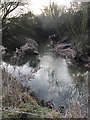 SP3779 : The Smite Brook joins the River Sowe, Walsgrave, east Coventry by Robin Stott
