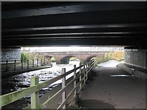 SP0293 : Brook Bridge over the River Tame ahead - Newton, Birmingham by Martin Richard Phelan