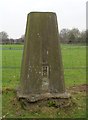 Trig Point at Hartlebury Common