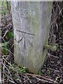 Cut Mark: Upton, Hockerton Road, Gatepost