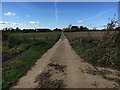 Path to Blagrove Farm