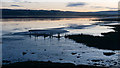 Dusk on the Cromarty Firth close to Dingwall