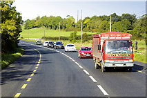 H4804 : Livestock Transporter on the Dublin Road (N3) by David Dixon