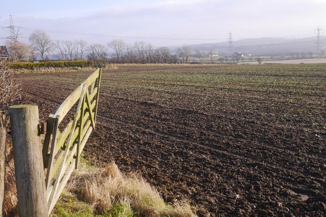 Swinging Gate Pardivan C Richard Webb Cc By Sa 2 0