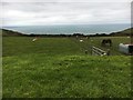 Path to join the Coast Path