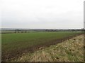 Arable land north of Killingworth