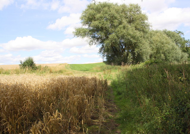 Footpath through field beside Dibdale Beck