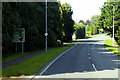 Lough Shore Road (A46) north of Enniskillen