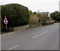 ST4793 : Warning sign and cycle route 42 sign, Earlswood Road, Shirenewton, Monmouthshire by Jaggery