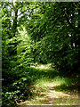 Byway to Brynog north-west of Tal-sarn, Ceredigion