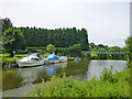 Medway below Barming Bridge