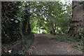 TQ2668 : Wandle Trail, Ravensbury Park by N Chadwick