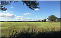 SP2757 : Autumn-sown crop emerging, field north of Wellesbourne by Robin Stott