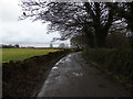 Track on Delph Hill