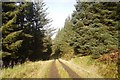 NS1170 : Logging road, Achafour Hill by Richard Webb