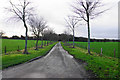 Tree-lined drive to Freeford Manor