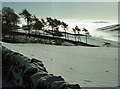 Greystone Moor in winter