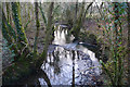 North Devon : Sturcombe River