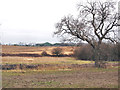 Preparing the land for new housing estate