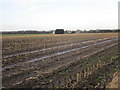 View towards Gowdall