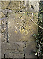 Benchmark on a wall near South Stoke