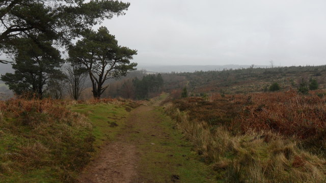 The Cleveland Way at West Banks