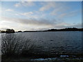 A chilly southern reservoir at Monikie