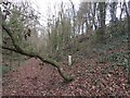 Former footpath at side of A35