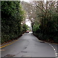 Pavementless part of Church Road, Lisvane, Cardiff