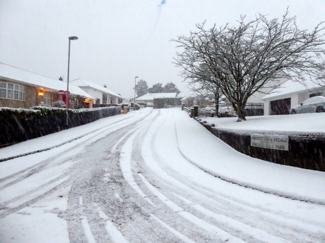 Snow, Knockgreenan Avenue