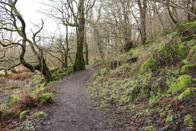 Woodland Path to Dundonald © Billy McCrorie cc-by-sa/2.0 :: Geograph ...