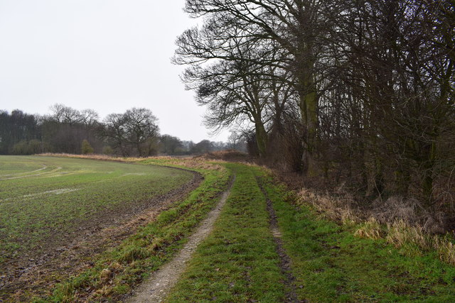 Track near Hardwick Beck