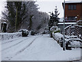 Snow on Finnockbog Road