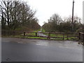 Hedon Racecourse railway Halt (site), Yorkshire