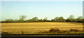 Stubble field by the M4