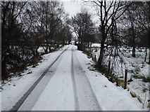 H5274 : Finbarr Road, Drumnakilly by Kenneth  Allen