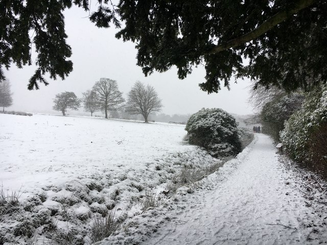 Snow-covered path beside a ha-ha