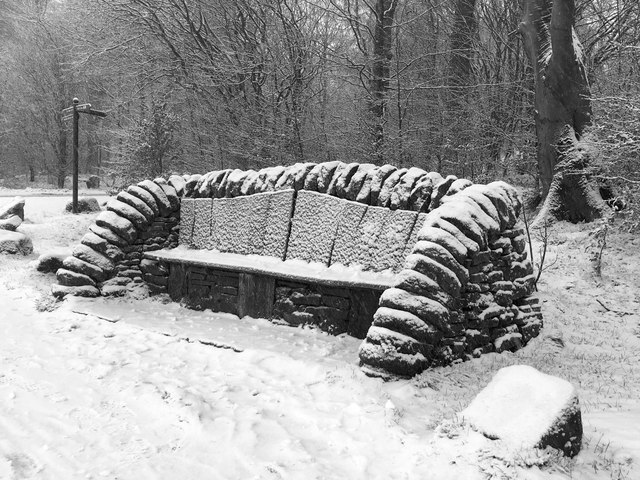 Snow-covered seat at Longshaw Lodge