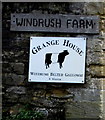 Windrush Belted Galloway depiction, Windrush Farm, Fulbrook