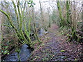 Llwybr Glanyrafon / Glanyrafon Path